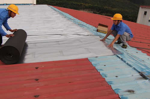 寶綠榕與您探討 建筑工程中屋頂防水工程的關(guān)鍵施工要點